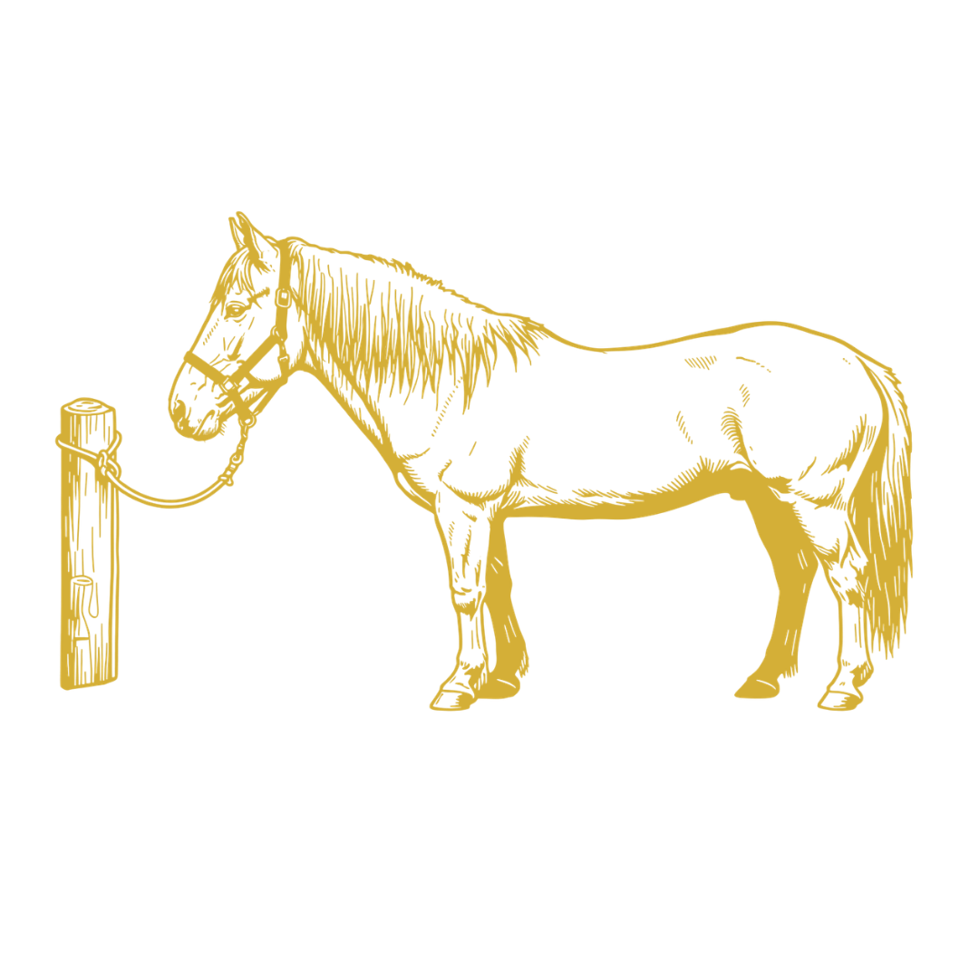 Escudo de Venezuela